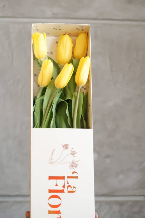 6 tulipanes amarillos 4 scaled